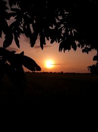 Scenic view of silhouette field against sky during sunset