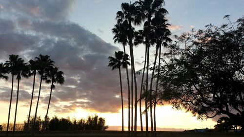 Silhouette of palm trees at sunset