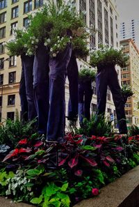 Trees in front of building