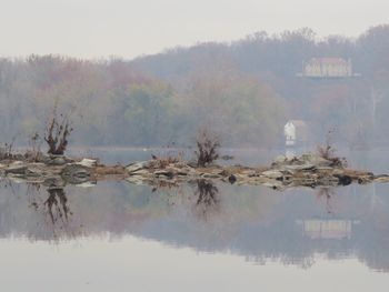 Reflection of trees in water