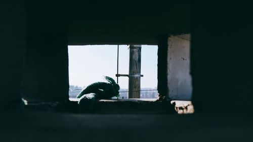 Low angle view of bird sitting on window