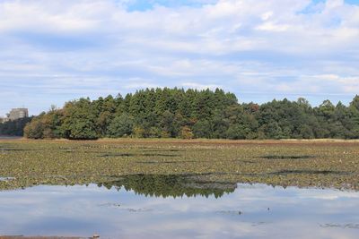 Scenic view of lake against sky