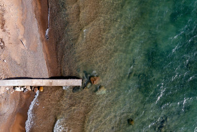 High angle view of horse in sea