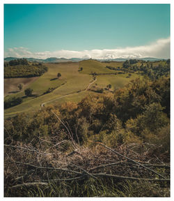 Scenic view of landscape against clear sky