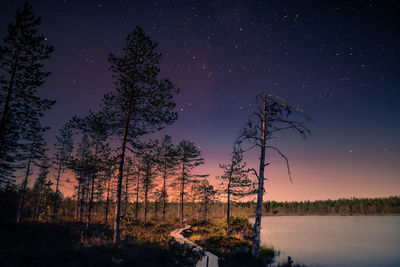 Silhouette trees by lake against sky at night