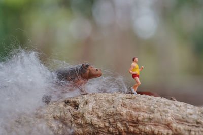 Close-up of monkey on rock