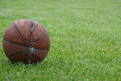 Close-up of ball on grassland