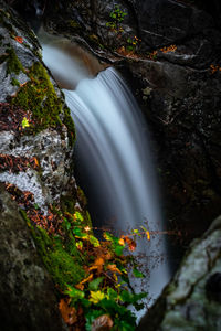 Scenic view of stream flowing through rocks in forest