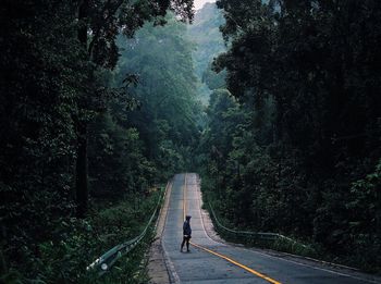 Person standing on road in forest