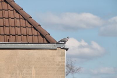 Low angle view of bird on roof against sky
