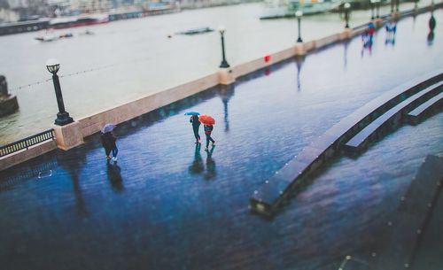 Reflection of trees in water