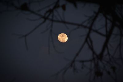 Low angle view of moon against sky at night