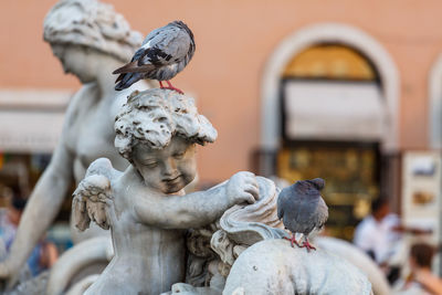  statue pigeons against a blurred background