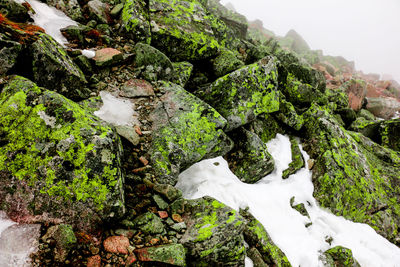 Close-up of snow on rock against sky