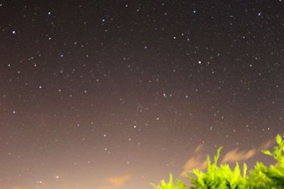 Close-up of star field against sky at night