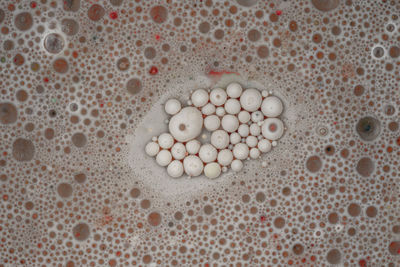 High angle view of eggs in container