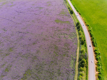 Aerial view of vehicles on road amidst field