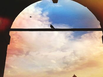 Low angle view of bird flying in sky