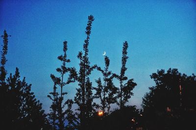 Low angle view of silhouette trees against blue sky