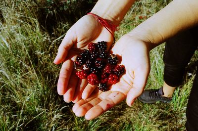 Healthy living and nutrition choices