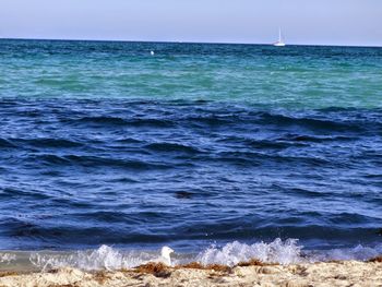 Scenic view of sea against clear sky