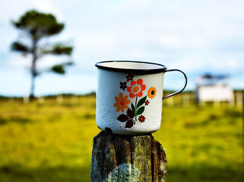 Close-up of tea served on wooden post against sky