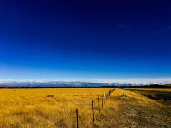 Scenic view of field against blue sky