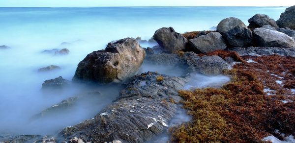 Scenic view of misty shore