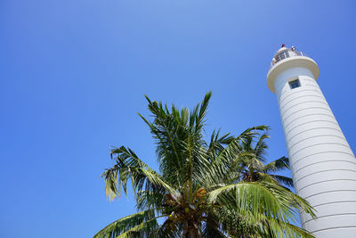 Low angle view of palm tree against sky