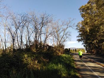 Rear view of man walking on road amidst trees against sky