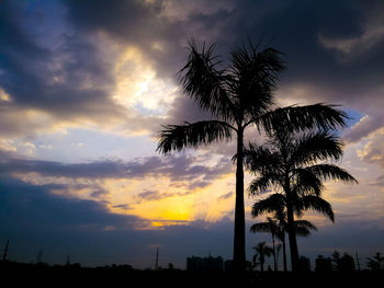 Silhouette of palm trees against cloudy sky