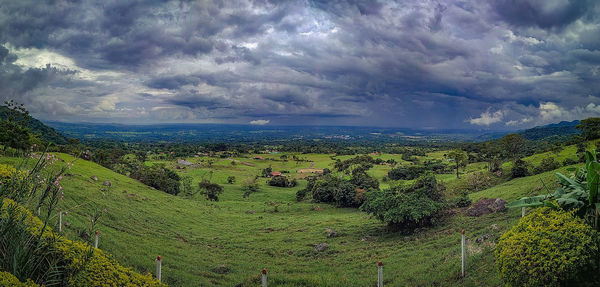 Scenic view of field against sky