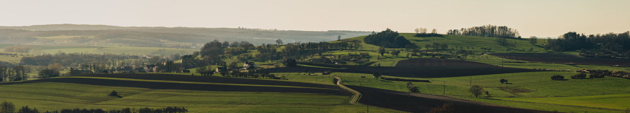 Scenic view of agricultural field against sky