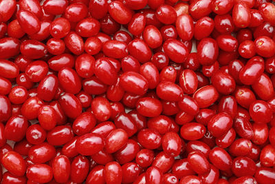 Background of ripe dogwood berries top view