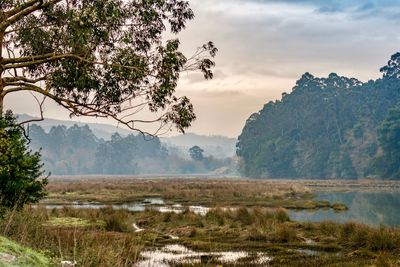 Scenic view of lake against sky