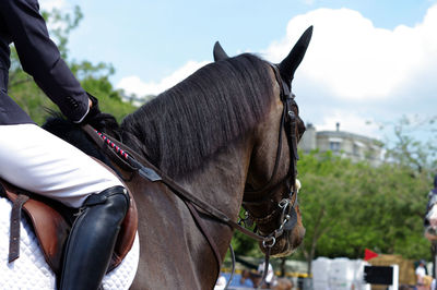 Close-up of hand riding horse
