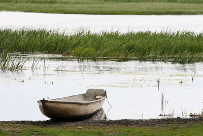 Scenic view of lake