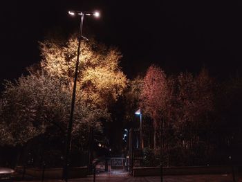 Low angle view of illuminated street lights against trees at night