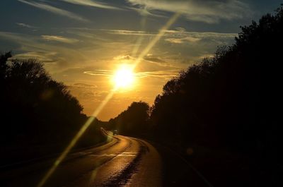 Sun shining through trees