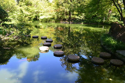 Reflection of trees in lake against sky