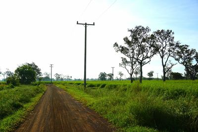 Road amidst field against sky