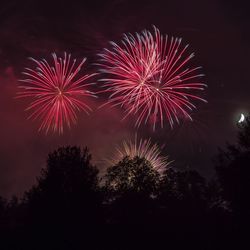 Low angle view of firework display at night