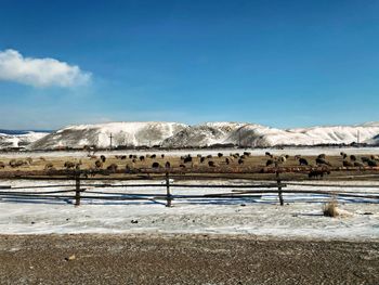 View of snow covered landscape against blue sky
