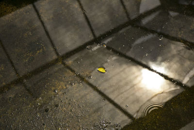 High angle view of raindrops on street