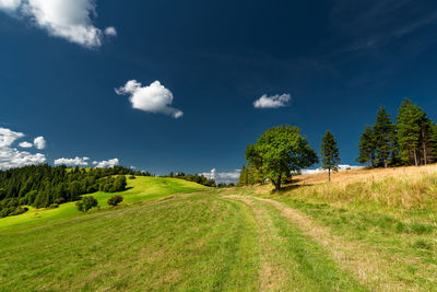 Scenic view of land against sky