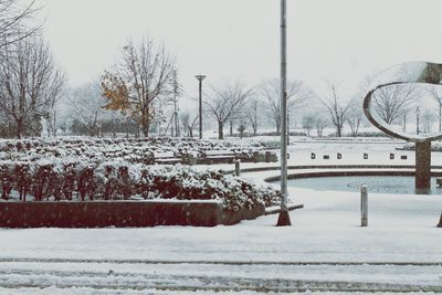 Snow covered trees