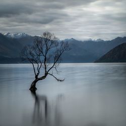 Bare tree by lake against sky