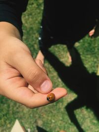 Close-up of person with ladybug on finger