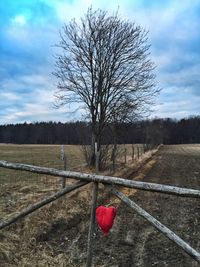 Bare trees on field against cloudy sky