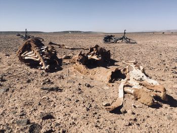Scenic view of beach against clear sky